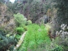 cam-benfeita-14-04-2012-1043