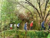 cam-benfeita-14-04-2012-747