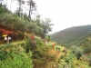 cam-benfeita-14-04-2012-817