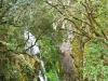 cam-benfeita-14-04-2012-875
