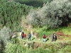 cam-benfeita-14-04-2012-891